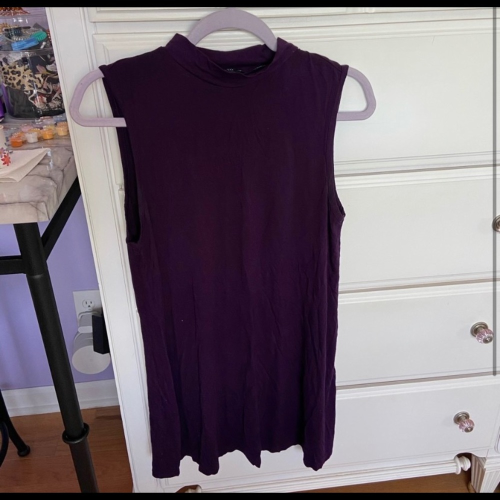 The Limited sleeveless turtleneck dress